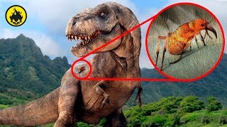 HALLAZGOS De DINOSAURIOS RECIENTES Más Increíbles [upl. by Assenna]