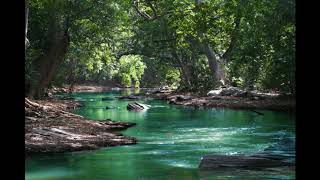 Musica Relajante de VIOLIN y NATURALEZA [upl. by Yema]