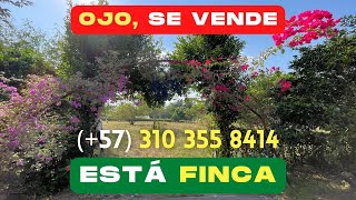 🔥SE VENDE  ESTÁ FINCA  Contacto WhatsApp 57 310 355 8414🔥 [upl. by Revorg563]