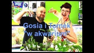 Gosia i Tomek quotw akwariumquot Część 17 Akwarium dla bojownika [upl. by Akilak]