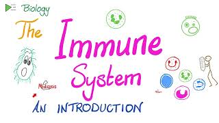 Introduction to the Immune System  Types of Immunity  Immunology Playlist [upl. by Dleifyar683]