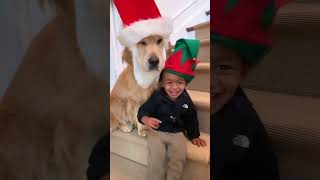 Adorable Dog and Kid Duo Pose Wearing Santa and Elf Hats  1339551 [upl. by Jillene]