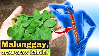 Malunggay  15 sakit na kayang PAGALINGIN at BENEPISYO sa katawan  GAMOT BENEFITS of MORINGA [upl. by Streeto]