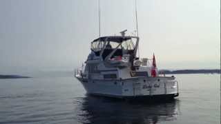 Tollycraft 48 1992 Custom Yachts [upl. by Htelimay]