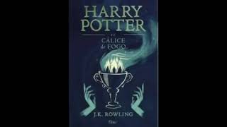 Harry Potter e o Cálice de Fogo parte 3  AudioBook AudioLivro [upl. by Novanod563]