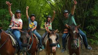 Best Horseback Riding in Puerto Rico [upl. by Atinhoj]