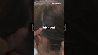 Day 62100  Word of the Day Balayage meaning with examples shorts viral [upl. by Retsbew]