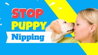 How to Train Your Puppy to Stop Nipping Petco [upl. by Sirama]