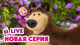 🔴 ПРЯМОЙ ЭФИР LIVE Маша и Медведь💥 НОВАЯ СЕРИЯ 💥 Пикник в сиреневых тонах 🪻🧺📸 [upl. by Yard101]