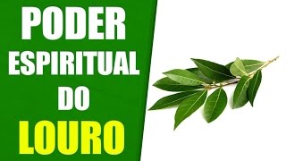 LOURO  Conheça o Poder ESPIRITUAL desta Planta [upl. by Ursola985]