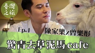 陳家樂 x 曾樂彤：台灣之旅 ep4  驚青去草泥馬cafe [upl. by Adoc]