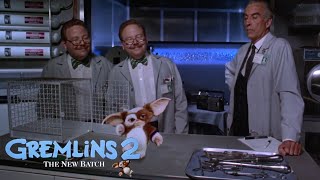 Gremlins 2 1990  Brain Gremlin Scene HD [upl. by Maleki]