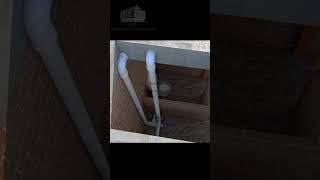 drainage pipe in first floor voice generated by 11ai 3d housedesign [upl. by Andonis]