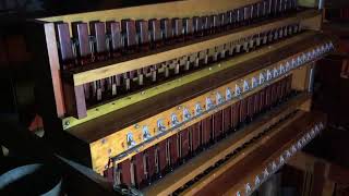 The restored Xylophone on the Worlds largest pipe organ [upl. by Adnolay568]