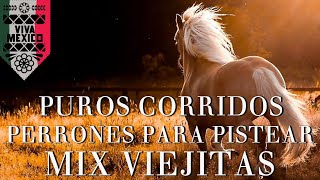 Puros Corridos Perrones Para Pistear Mix Viejitas  100 Exitos [upl. by Annaiek]