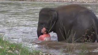 Elefante si getta nel fiume per salvare il suo veterinario Il salvataggio che ha commosso il mondo [upl. by Donell633]