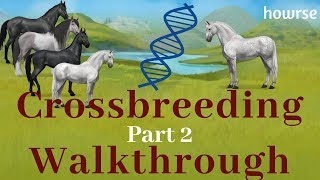 Howrse Crossbreeding Walkthrough Part 2 [upl. by Elianore]