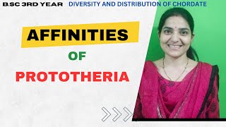 Affinities Of Prototheria BSc 2nd YearDiversity and Distribution Of ChordatesCore Paper v [upl. by Massie887]