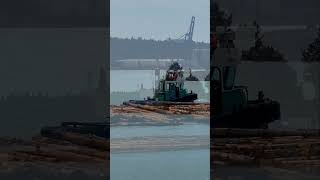 🇨🇦Logboom tugboat at work on the FraserRiver [upl. by Bridgid]