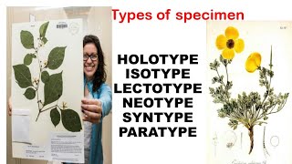 types of specimen in plant diversityholotypeisotypelectotypeneotypesyntypeparatype [upl. by Alian411]