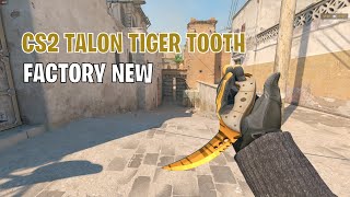 Talon Knife Tiger Tooth  CS2 Skin Showcase 157 [upl. by Noxin]