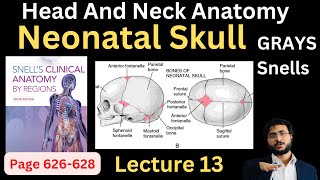 Neonatal Skull  Fontanelle  Head and Neck Anatomy  headandneckanatomy [upl. by Acnaib]