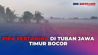 Pipa Pertamina di Tuban Bocor Satu Desa Terdampak [upl. by Hedges]