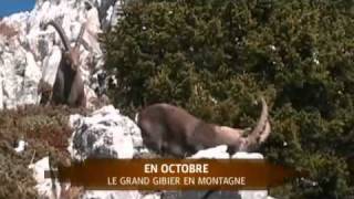 Chasse du grand gibier en montagne [upl. by Sulecram]