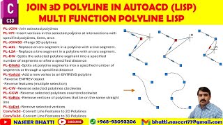 Join 3d Polyline Lisp in AutoCAD  Lisp to Convert 3d Polyline to 2d Polyline  MultiFunction Lisp [upl. by Brace]