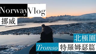 【挪威】極光小鎮特羅姆瑟 Tromsø 篇 北極圈 2020 Norway Vlog [upl. by Eimorej8]