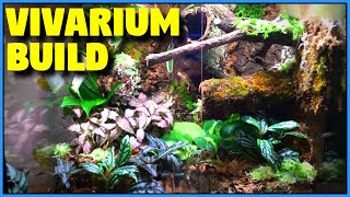 Bioactive Vivarium Build  Tropical Vivarium Setup StepByStep [upl. by Iclek]