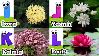 Flowers Alphabet Song  Flowers ABC Song  A to Z Flowers Names  Phonics for Kids [upl. by Stroud983]