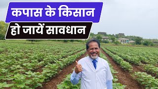 कपास का कीट प्रबन्धन  Pink Bollworm [upl. by Atsedom]