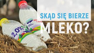 Skąd się bierze mleko [upl. by Suez501]