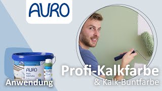 AURO Anwendung Kalkfarben und KalkBuntfarben [upl. by Aliak]