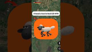 I Found a Goat In Real On Google Map And Earth shorts findmapsecret [upl. by Kcoj]