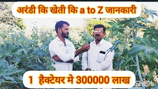 arandi ki khet  How to do castor farming [upl. by Appel747]