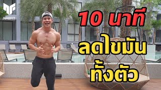 Level 1 10 นาที ลดไขมันทั้งตัว กระชับกล้ามเนื้อ ที่บ้าน สำหรับมือใหม่  Home Workout [upl. by Ettevy667]