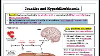 Neonatal hyperbilirubinemia الصفرا في حديثي الولادة [upl. by Cardon]