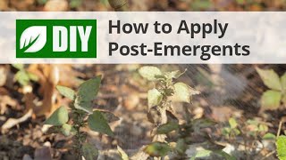 How To Apply PostEmergent Herbicide Weed Killers [upl. by Inahpit]