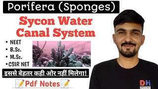 Water Canal System Of SpongesPorifera  Sycon Canal System  By Dadhich Sir [upl. by Blount]