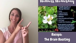 Bacopa The quotBrain Boostingquot Ancient Herb [upl. by Ibbetson]