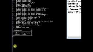 The Mole Sql Injection Tutorial [upl. by Adnaloy]