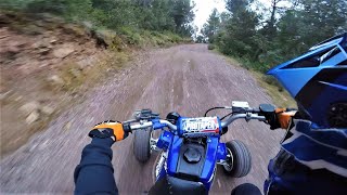 YAMAHA BANSHEE 350 RAW RIPPING TRAILS GoPro Hero 8 Helmet Cam [upl. by Eboh752]