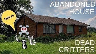 Urbex ABANDONED House of DEAD CRITTERS [upl. by Annoynek]