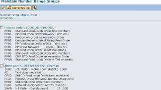 Maintain Number Ranges for Orders [upl. by Packston884]