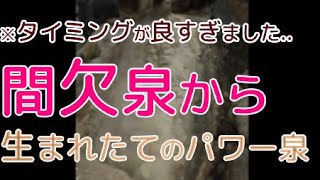 【天然の間欠泉】♨塩原温泉 元湯 「ゑびすや」 弘法の湯 [upl. by Akla]