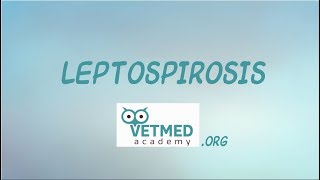 Introduction to Leptospirosis [upl. by Alesi]