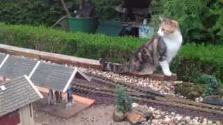 Cats and Trains mal anders Gartenbahn LGB Jens Handro [upl. by Tihor]