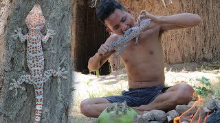 Primitive Technology  Find food Gecko  Lizard  In forest  Cooking Gecko with Coconut [upl. by Keith]